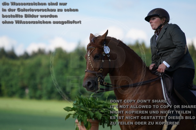 s_K3F05026.JPG